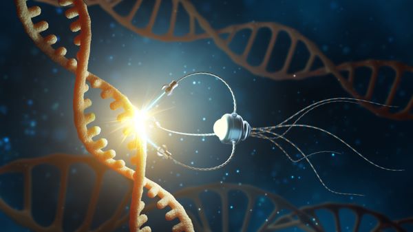 മനുഷ്യന് മരണമില്ലാതാകാൻ ഇനി 7 വർഷം കൂടി; പറയുന്നത് റേയ് കഴ്സ്വയ്ൽ