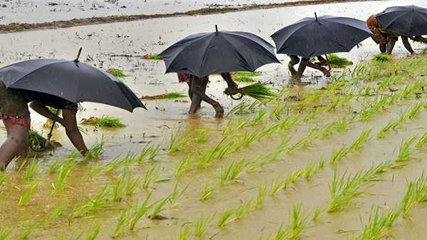 സമ്മർ മൺസൂൺ കൃത്യം കൃത്യമായി പ്രവചിക്കാൻ എഐയുമായി ഇന്ത്യ
