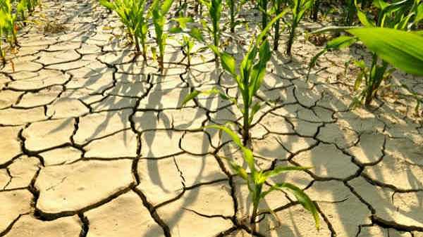 സമ്മർ മൺസൂൺ കൃത്യം കൃത്യമായി പ്രവചിക്കാൻ എഐയുമായി ഇന്ത്യ