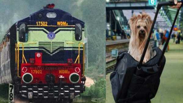 നായയ്ക്കും പൂച്ചയ്ക്കും ഓൺ​ലൈൻ ട്രെയിൻ ടിക്കറ്റ് ബുക്കിങ് 