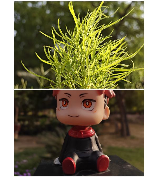 വൺപ്ലസ് 11 5ജി ക്യാമറ മികവ് തെളിയിച്ച്  'ക്യാപ്ചർ ബിയോൺഡ് ബൗണ്ടറി' 