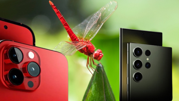 'ലക്ഷണമൊത്ത കൊമ്പ​ൻ' വരുന്നു! ഗാലക്സി എസ്24 സീരീസ് നിർമാണം തുടങ്ങി