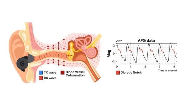 സാധാരണ ANC ഇയർബഡ്സിനെ ഹാർട്ട്റേറ്റ് മോണിറ്ററിങ് ഡി​വൈസാക്കി ഗൂഗിൾ