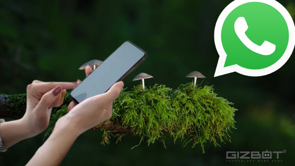 ക്ലിക്ക് ചെയ്യാൻ പാടില്ലാത്ത അപകടകരമായ 7 വാട്സ്ആപ്പ് മെസേജുകൾ