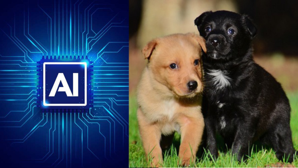 വഴിയിലെ നായ കുരച്ചും വീട്ടിലെ പൂച്ച കരഞ്ഞും നിങ്ങളോട് പറയുന്നത് എന്ത് വഴിയിലെ നായ കുരച്ചും വീട്ടിലെ പൂച്ച കരഞ്ഞും നിങ്ങളോട് പറയുന്നത് എന്ത്