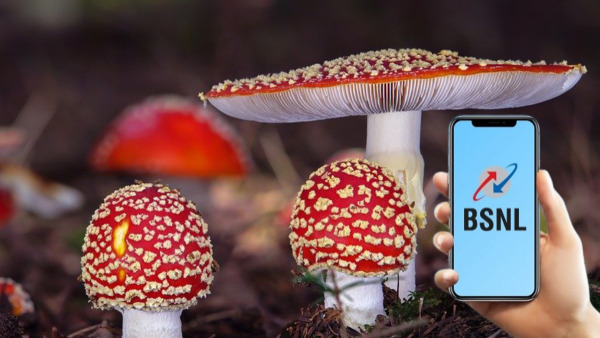 ബിഎസ്എൻഎൽ ദീപാവലി ഓഫറുകൾ എത്തി