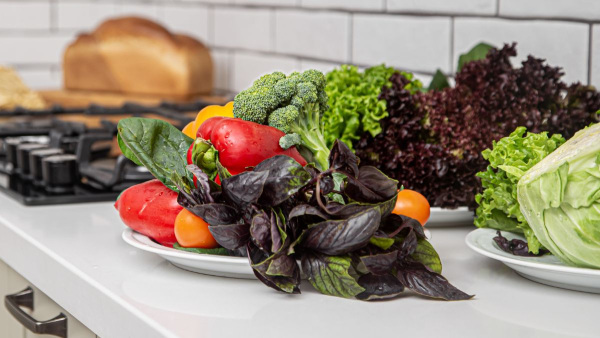 പഴകിയ ഭക്ഷണം മണത്ത് കണ്ടുപിടിക്കാൻ എഐ മൂക്ക്