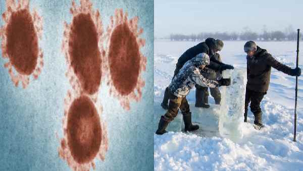 സോംബി വൈറസ് സാന്നിധ്യം കണ്ടെത്തി; വരാനിരിക്കുന്നത് വലിയ അപകടം