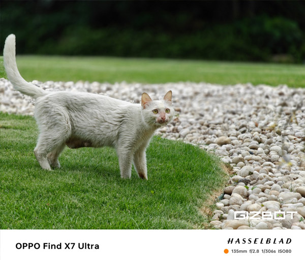 DSLRനെ വെല്ലും ക്യാമറ മികവുമായി ഓപ്പോ ഫൈൻഡ് X7 അൾട്ര