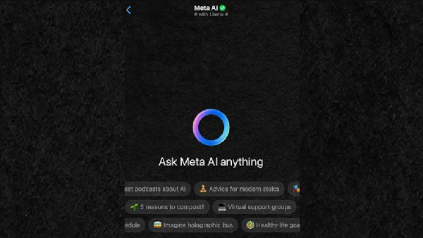 വാട്സ്ആപ്പിൽ ഒരു നീല വളയം കണ്ടാൽ പേടിക്കേണ്ട, അ‌ത് ലാമയാണ്! 