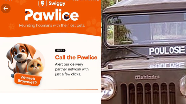 പോലീസുമല്ല പൗലോസുമല്ല ഇത് പാവ്‌ലിസ്! വളർത്തുമൃഗങ്ങളുടെ രക്ഷകർ