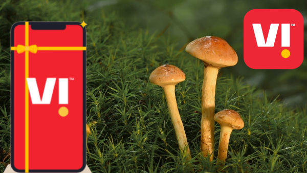 ദേ ഇതാണ് ആ യഥാർഥ കനൽത്തരി! വീഐയുടെ 'തീപ്പൊരി' ഡാറ്റ പ്ലാനുകൾ