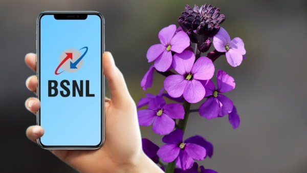 BSNL 4G: വിജയം തൊട്ടരികിലെന്ന് ട്രായ് ചെയർമാൻ