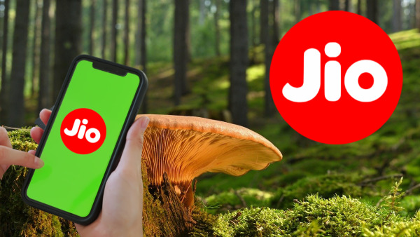 ടെലിക്കോം നിരക്ക് വർധന ​അ‌ംബാനിയുടെ ചെറുക്കൻ ഒപ്പിച്ച പണിയോ! 