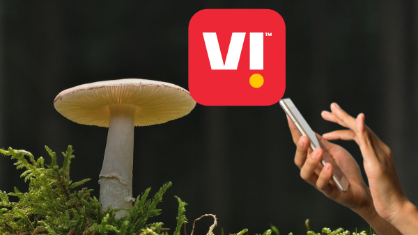 ഇവിടെ ഇങ്ങനെയാണ് ഭായ്! 84 ദിവസ വാലിഡിറ്റിയിൽ വിഐ നൽകുന്ന 8 പ്ലാനുകൾ