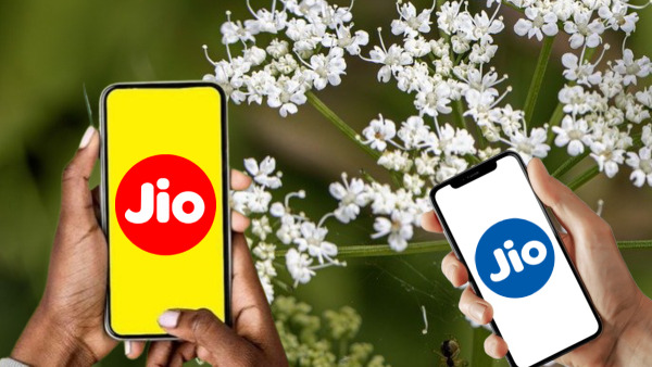 അ‌ംബാനിയെ വിശ്വാസമുള്ളവർക്ക് ഇതിലേ വരാം! സമാധാനം നൽകുന്ന ജിയോ പ്ലാൻ